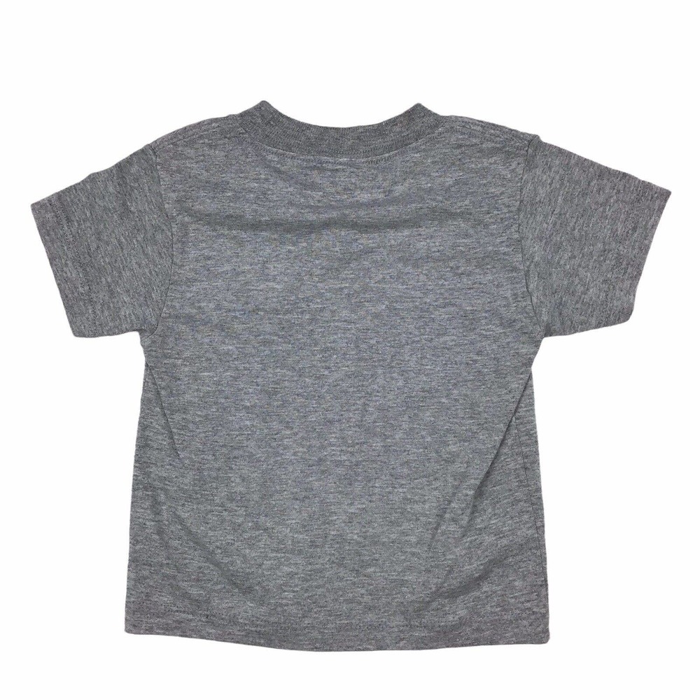 Kid Dangerous Toddler Boys T-Shirt Gray USA Graphic Print Crewneck Tee Size 3 - Picture 2 of 3